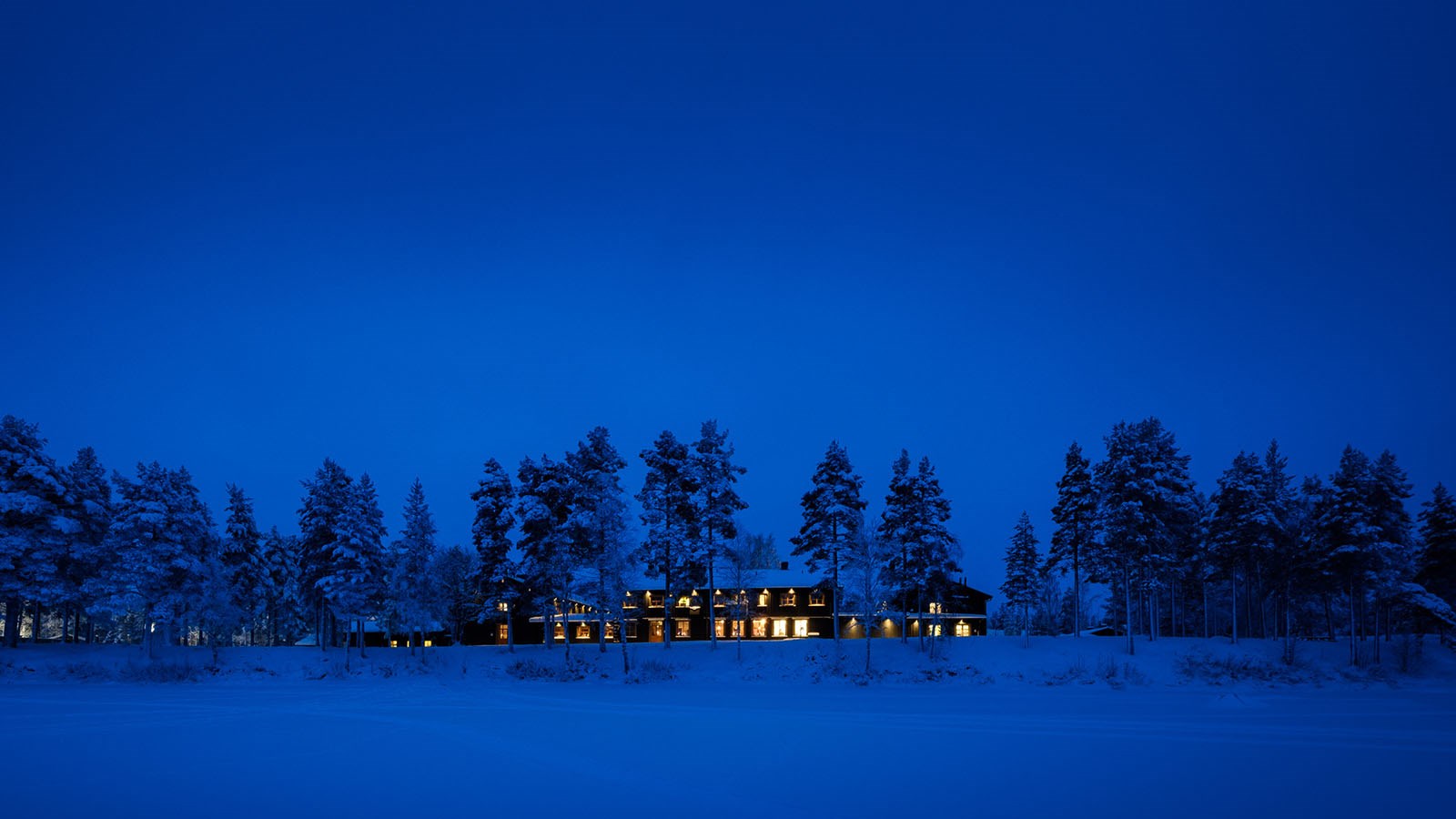 Vintrig miljö i skymningen med ljussken från ett stort hus bakom träd